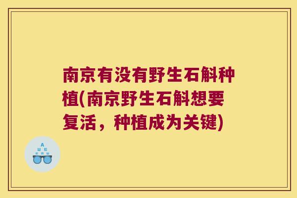南京有没有野生石斛种植(南京野生石斛想要复活，种植成为关键)