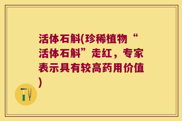 活体石斛(珍稀植物“活体石斛”走红，专家表示具有较高药用价值)