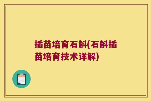 插苗培育石斛(石斛插苗培育技术详解)