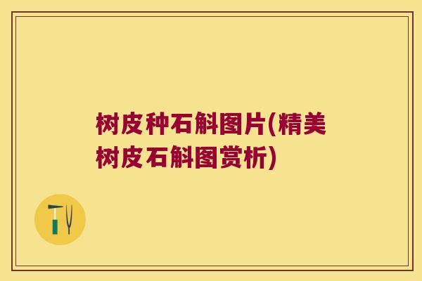 树皮种石斛图片(精美树皮石斛图赏析)
