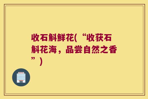 收石斛鲜花(“收获石斛花海，品尝自然之香”)