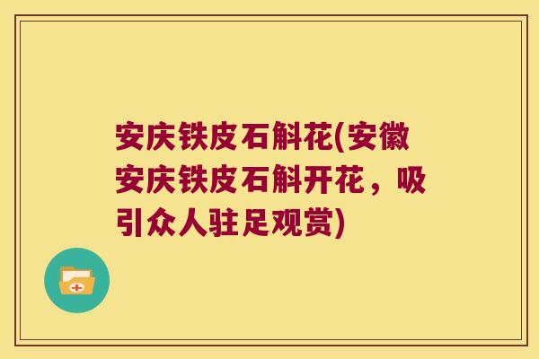 安庆铁皮石斛花(安徽安庆铁皮石斛开花，吸引众人驻足观赏)