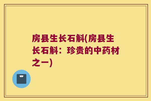 房县生长石斛(房县生长石斛：珍贵的中药材之一)