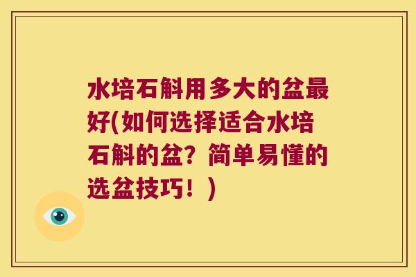 水培石斛用多大的盆最好(如何选择适合水培石斛的盆？简单易懂的选盆技巧！)