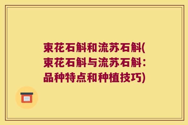 束花石斛和流苏石斛(束花石斛与流苏石斛：品种特点和种植技巧)