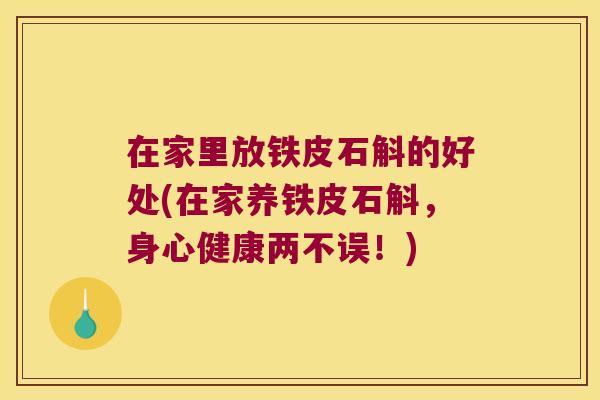 在家里放铁皮石斛的好处(在家养铁皮石斛，身心健康两不误！)