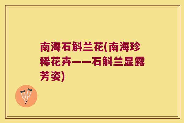 南海石斛兰花(南海珍稀花卉——石斛兰显露芳姿)