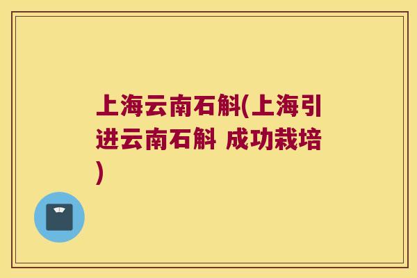 上海云南石斛(上海引进云南石斛 成功栽培)