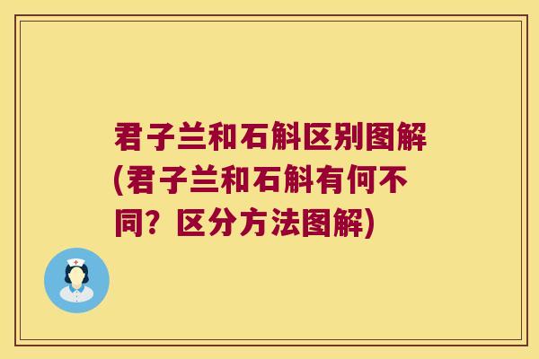 君子兰和石斛区别图解(君子兰和石斛有何不同?区分方法图解) 君子兰和石斛区别图解(君子兰和石斛有何不同?区分方法图解)