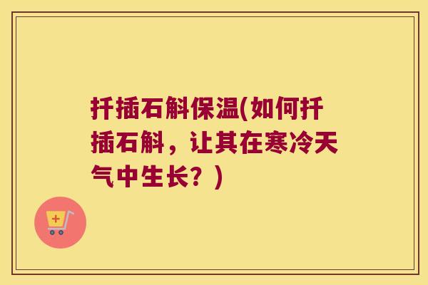 扦插石斛保温(如何扦插石斛，让其在寒冷天气中生长？)