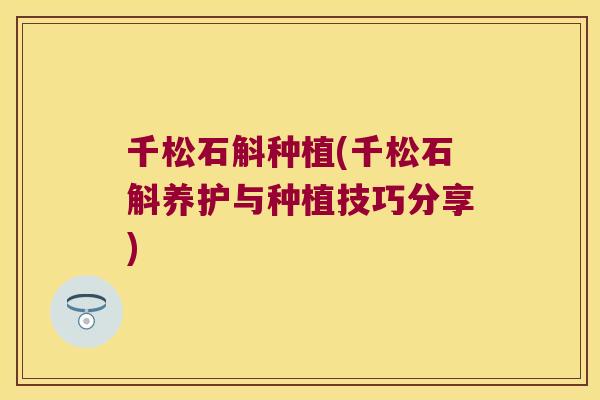 千松石斛种植(千松石斛养护与种植技巧分享)