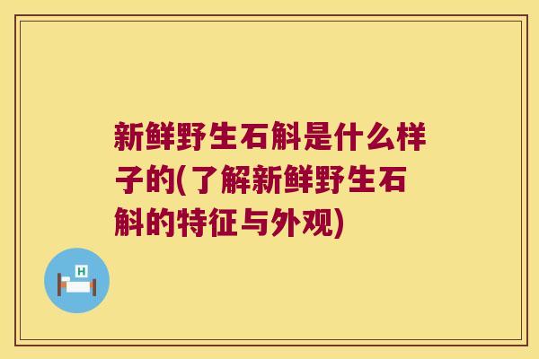 新鲜野生石斛是什么样子的(了解新鲜野生石斛的特征与外观)