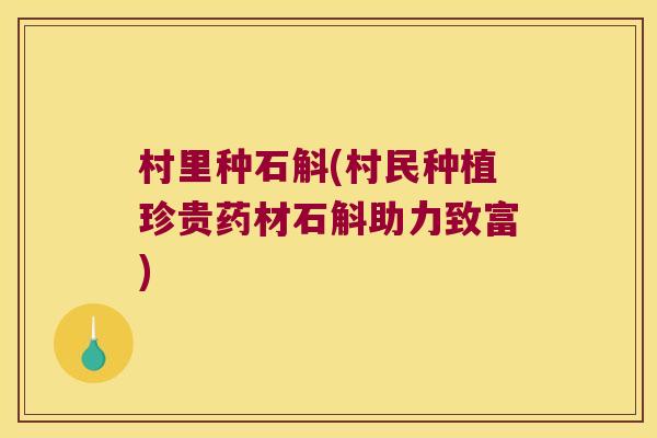 村里种石斛(村民种植珍贵药材石斛助力致富)