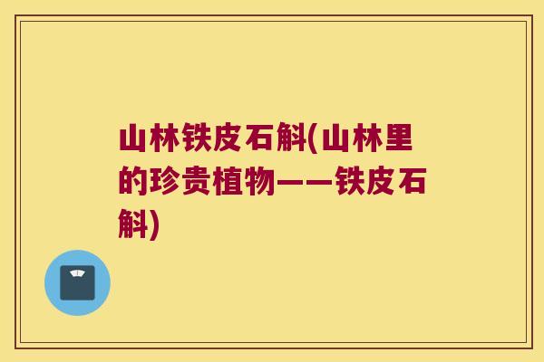 山林铁皮石斛(山林里的珍贵植物——铁皮石斛)