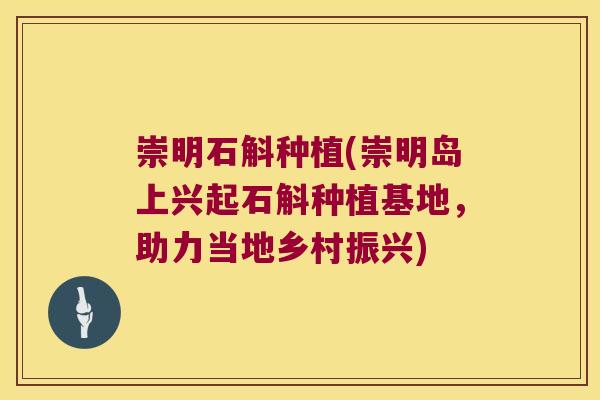 崇明石斛种植(崇明岛上兴起石斛种植基地,助力当地乡村振兴) 崇明石斛种植(崇明岛上兴起石斛种植基地,助力当地乡村振兴)