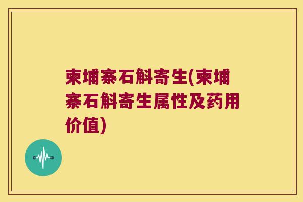 柬埔寨石斛寄生(柬埔寨石斛寄生属性及药用价值)