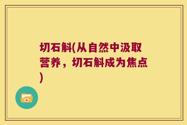 切石斛(从自然中汲取营养，切石斛成为焦点)