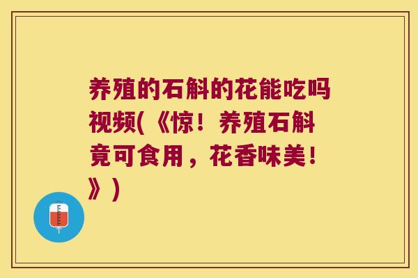 养殖的石斛的花能吃吗视频(《惊！养殖石斛竟可食用，花香味美！》)