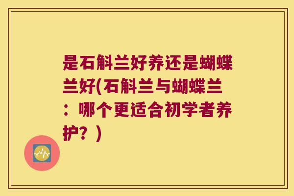 是石斛兰好养还是蝴蝶兰好(石斛兰与蝴蝶兰：哪个更适合初学者养护？)