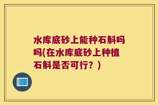 水库底砂上能种石斛吗吗(在水库底砂上种植石斛是否可行？)