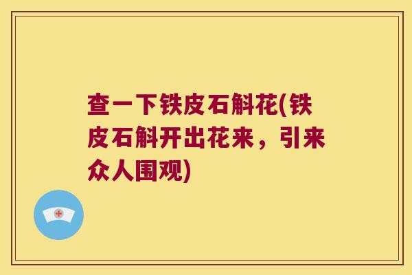 查一下铁皮石斛花(铁皮石斛开出花来，引来众人围观)