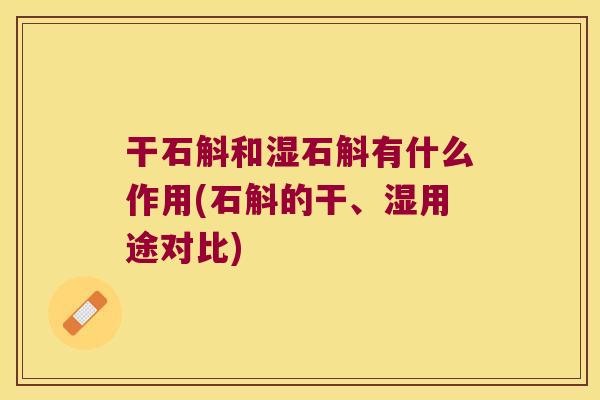 干石斛和湿石斛有什么作用(石斛的干、湿用途对比)
