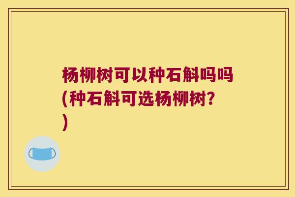 杨柳树可以种石斛吗吗(种石斛可选杨柳树？)