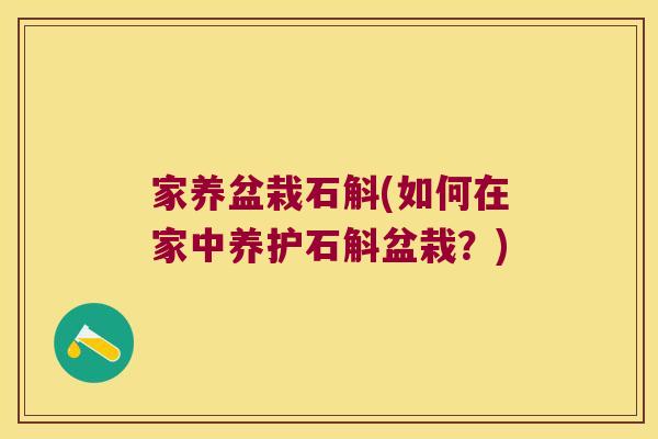 家养盆栽石斛(如何在家中养护石斛盆栽？)