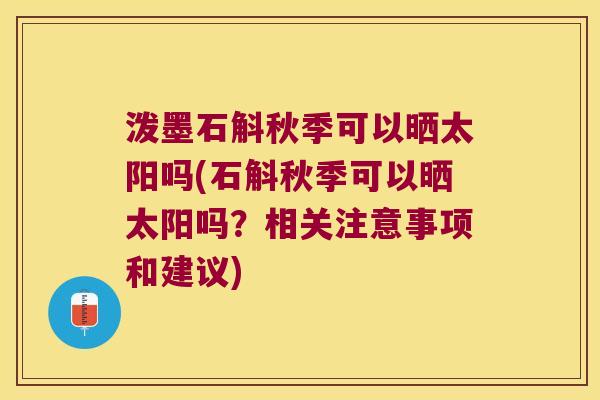 泼墨石斛秋季可以晒太阳吗(石斛秋季可以晒太阳吗？相关注意事项和建议)