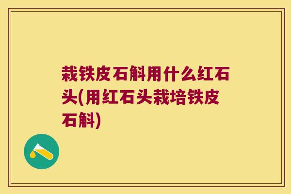 栽铁皮石斛用什么红石头(用红石头栽培铁皮石斛)