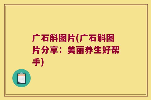 广石斛图片(广石斛图片分享：美丽养生好帮手)