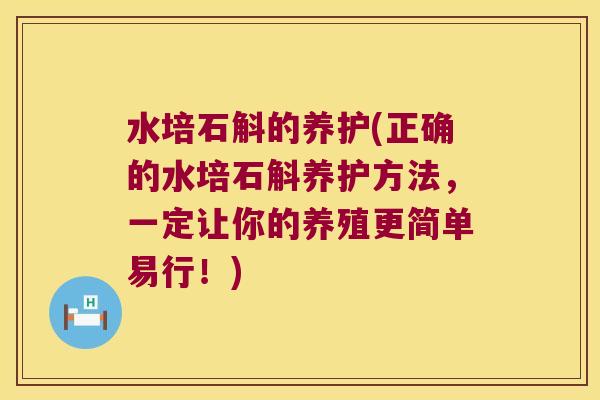 水培石斛的养护(正确的水培石斛养护方法，一定让你的养殖更简单易行！)