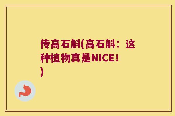 传高石斛(高石斛：这种植物真是NICE！)