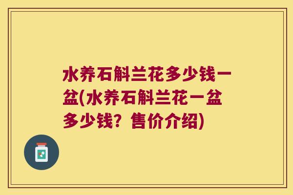 水养石斛兰花多少钱一盆(水养石斛兰花一盆多少钱？售价介绍)