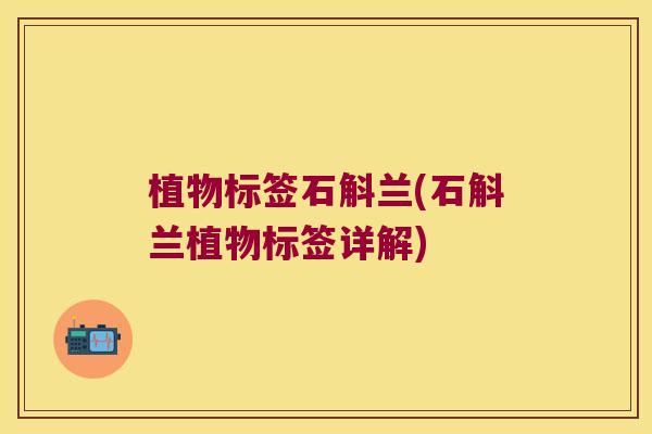 植物标签石斛兰(石斛兰植物标签详解)