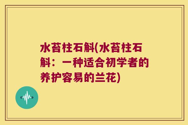 水苔柱石斛(水苔柱石斛：一种适合初学者的养护容易的兰花)