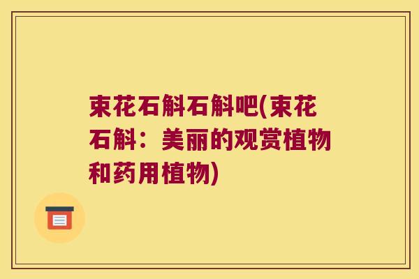束花石斛石斛吧(束花石斛：美丽的观赏植物和药用植物)