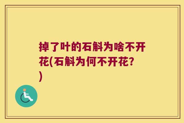 掉了叶的石斛为啥不开花(石斛为何不开花？)