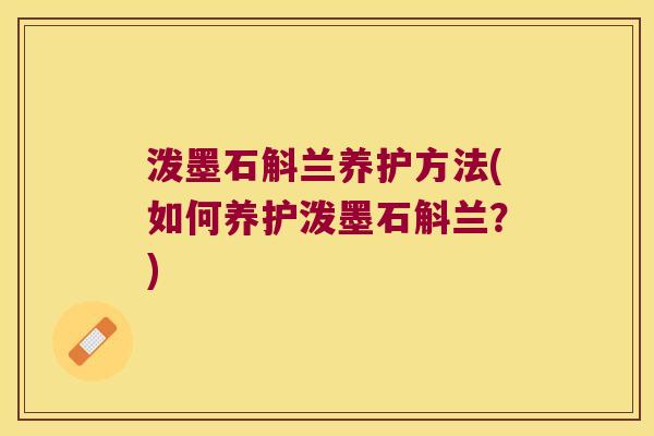 泼墨石斛兰养护方法(如何养护泼墨石斛兰？)