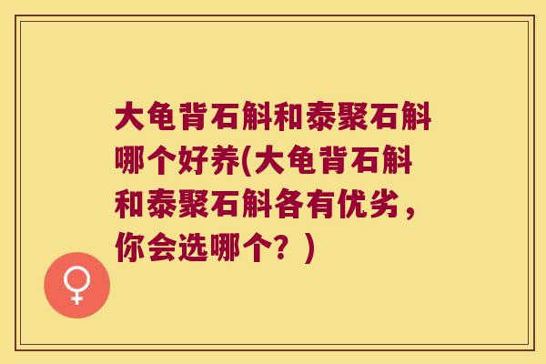 大龟背石斛和泰聚石斛哪个好养(大龟背石斛和泰聚石斛各有优劣，你会选哪个？)