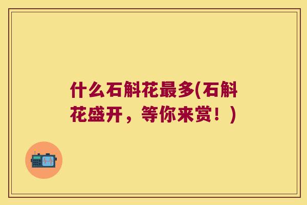 什么石斛花最多(石斛花盛开，等你来赏！)