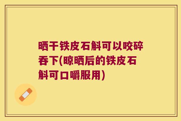 晒干铁皮石斛可以咬碎吞下(晾晒后的铁皮石斛可口嚼服用)