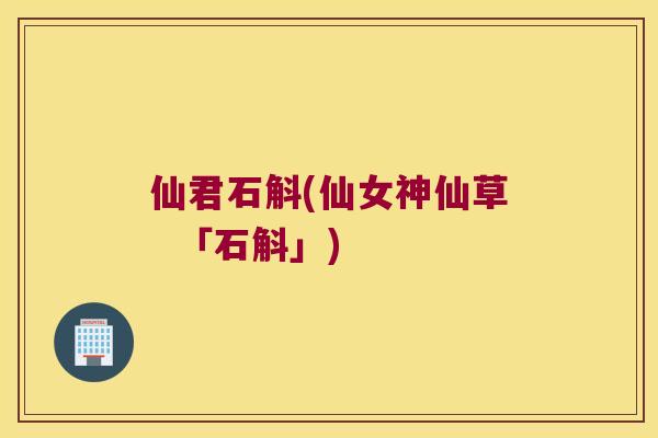 仙君石斛(仙女神仙草  「石斛」)