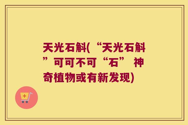 天光石斛(“天光石斛”可可不可“石” 神奇植物或有新发现)