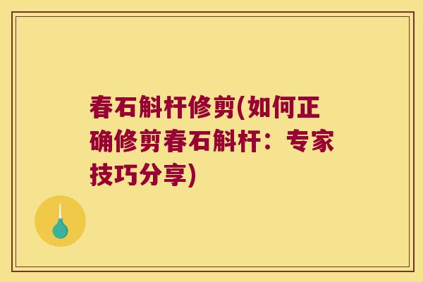 春石斛杆修剪(如何正确修剪春石斛杆：专家技巧分享)