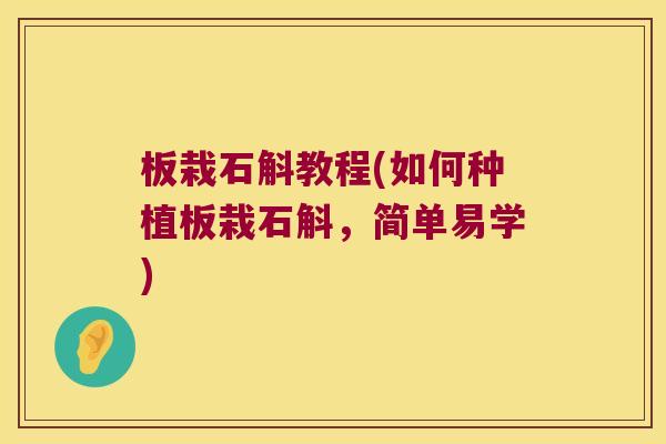 板栽石斛教程(如何种植板栽石斛，简单易学)