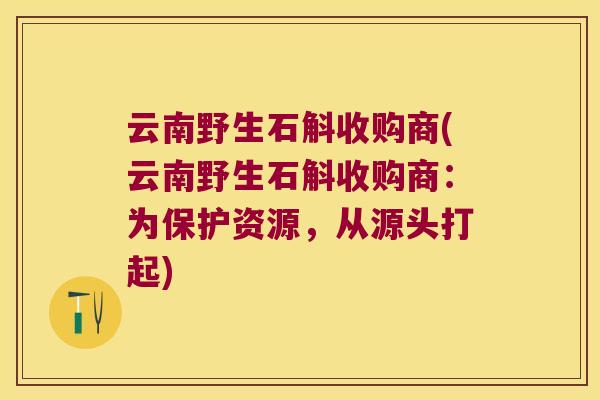 云南野生石斛收购商(云南野生石斛收购商：为保护资源，从源头打起)