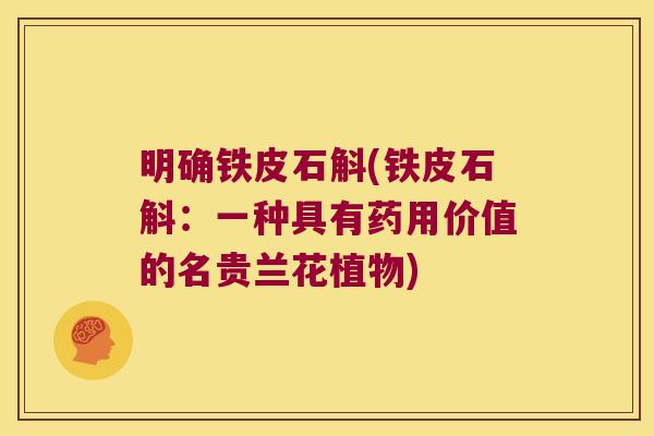 明确铁皮石斛(铁皮石斛：一种具有药用价值的名贵兰花植物)