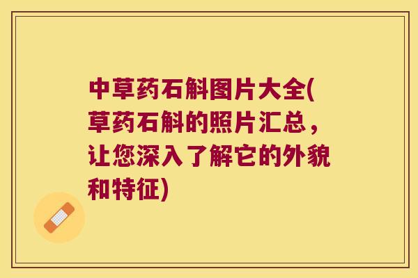 中草药石斛图片大全(草药石斛的照片汇总，让您深入了解它的外貌和特征)