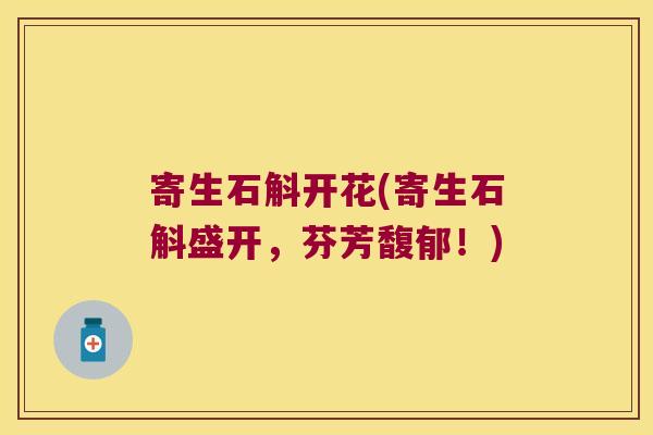 寄生石斛开花(寄生石斛盛开，芬芳馥郁！)